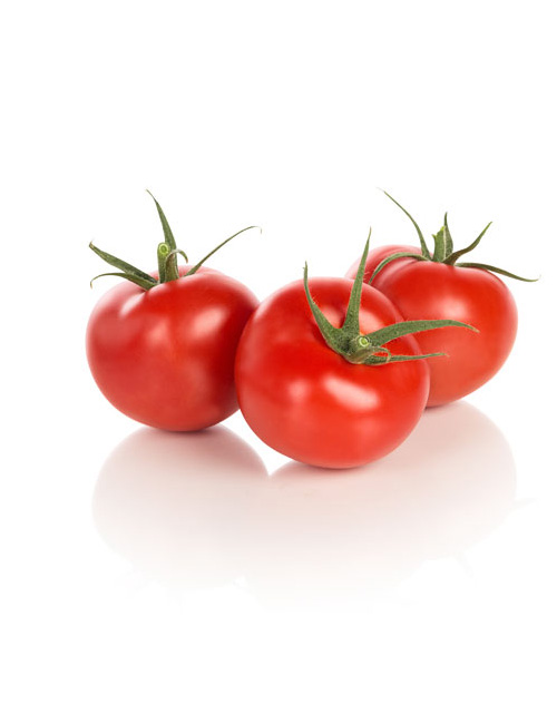 tomate-forenza